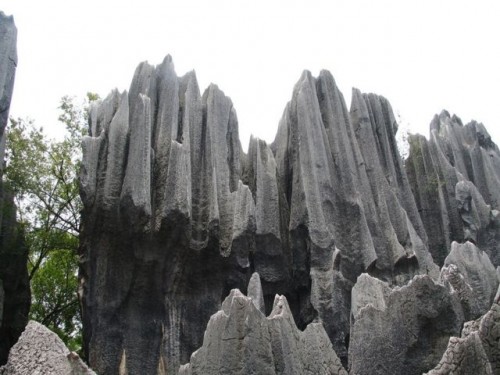 Каменный лес (Шилинь, Китай)